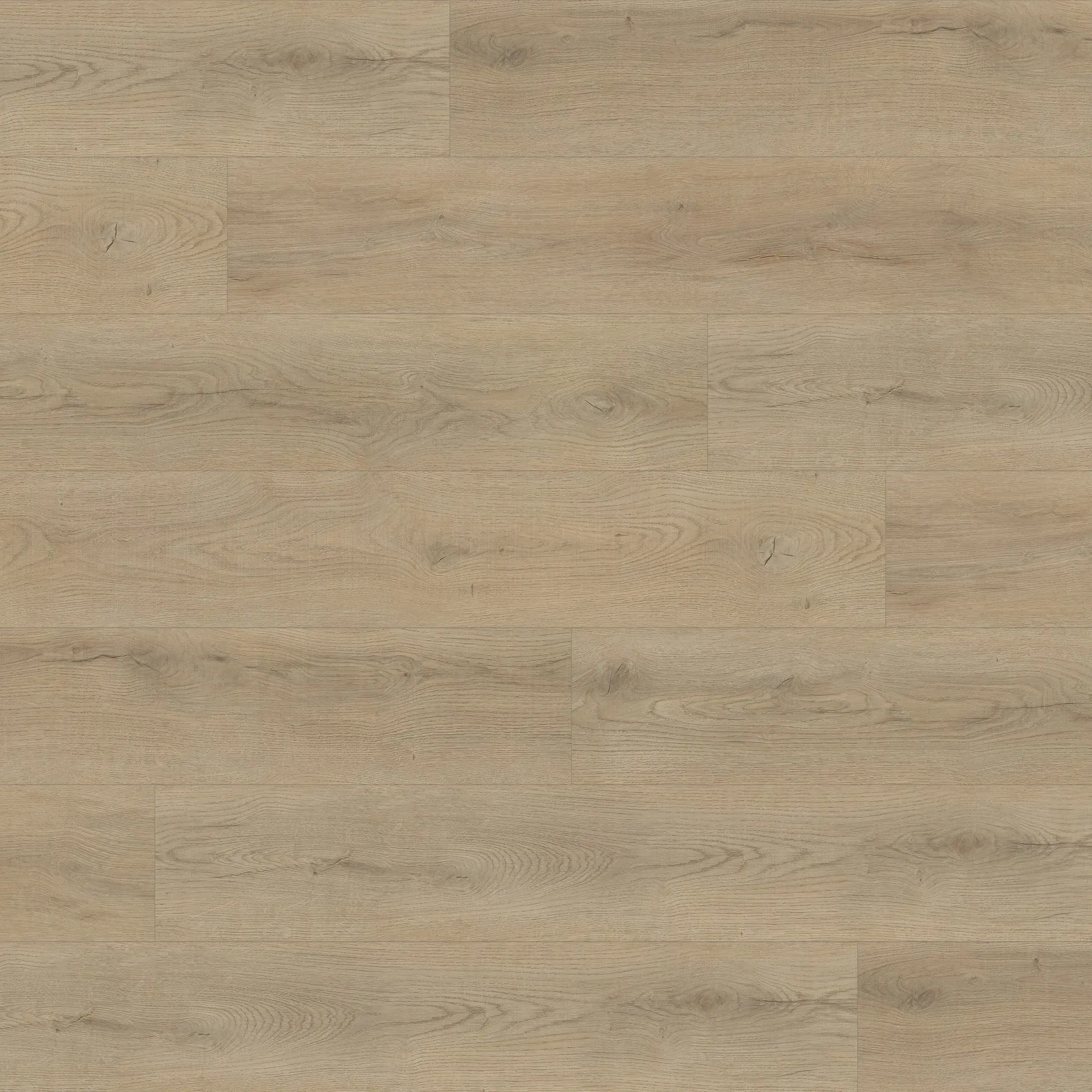 Alpine Oak thumbnail 3