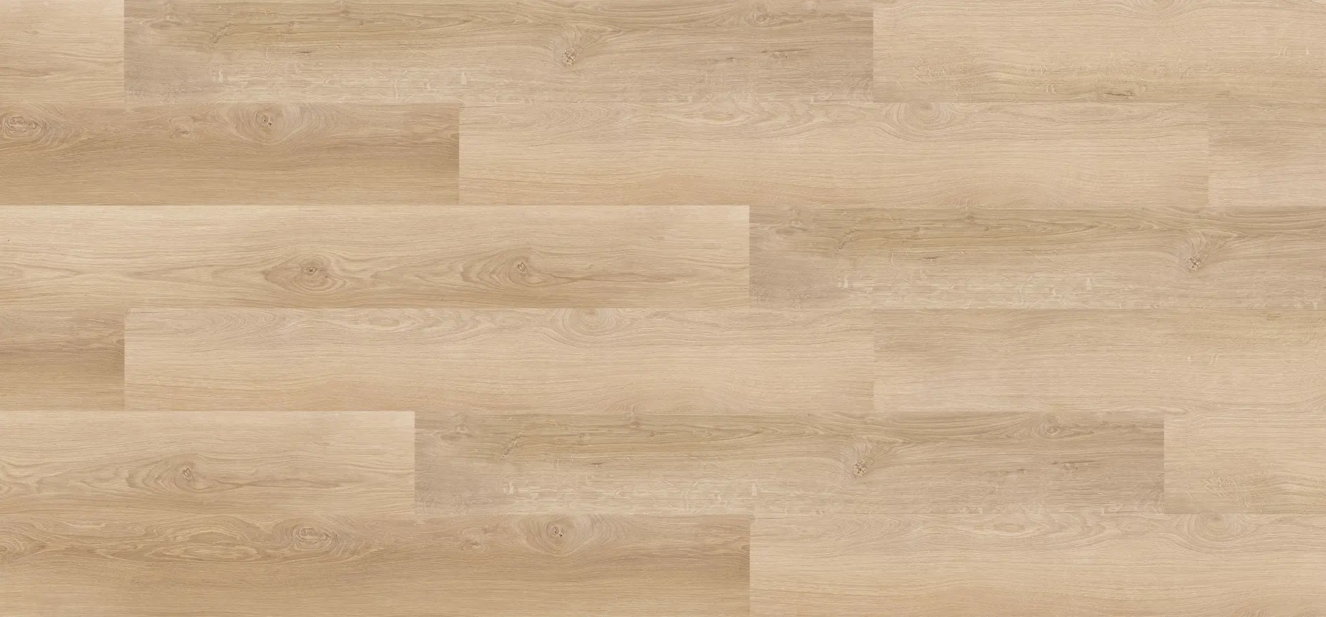 Desert Oak
