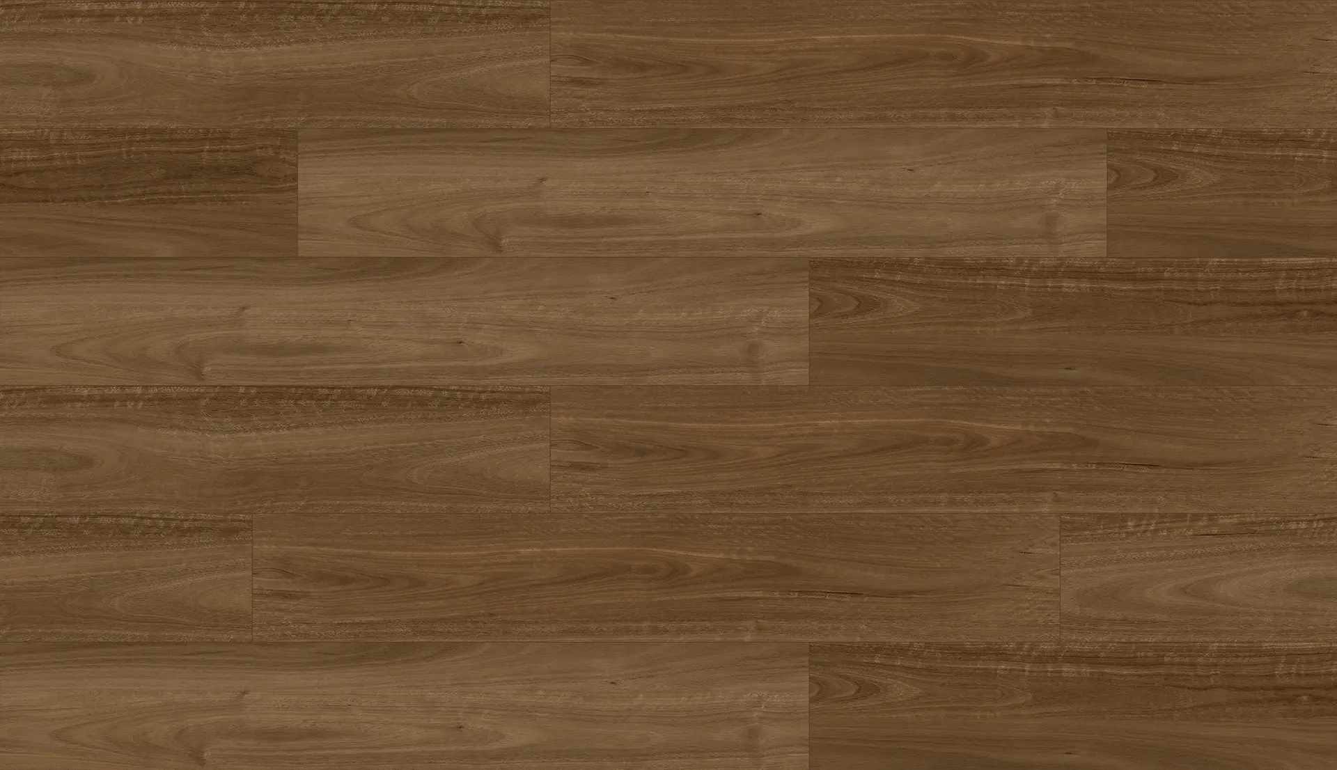 Spotted Gum