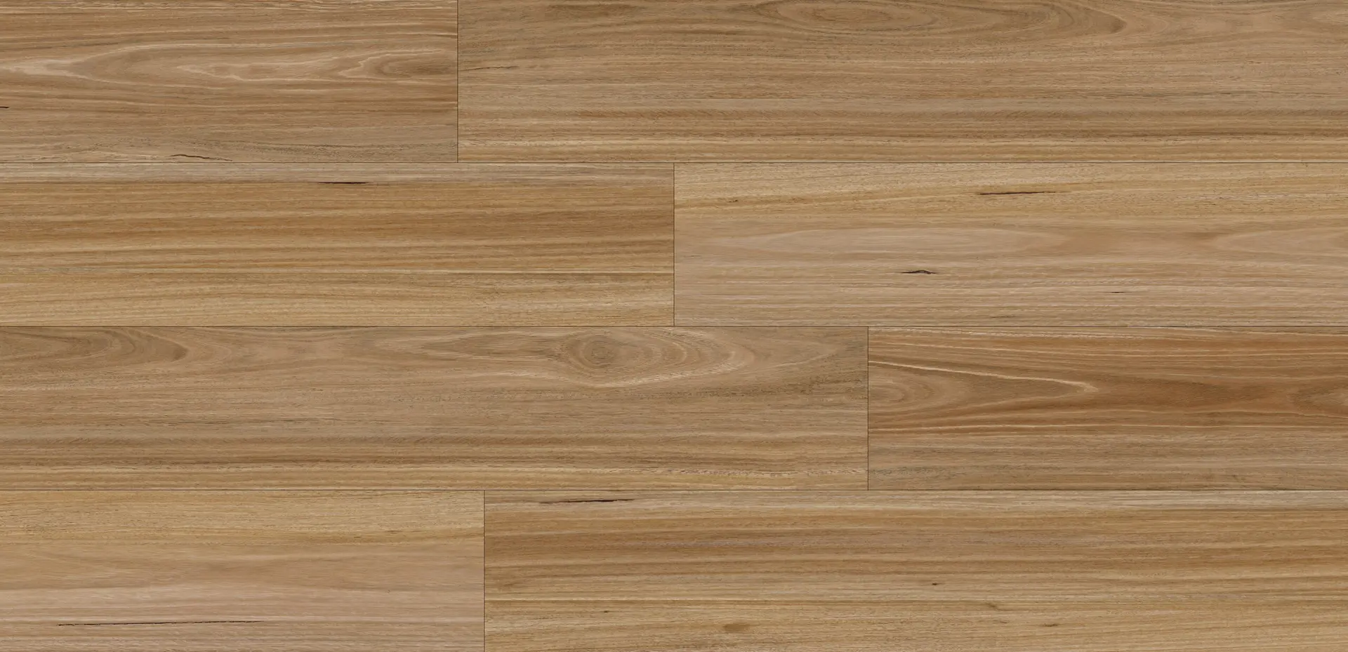 Light Spotted Gum