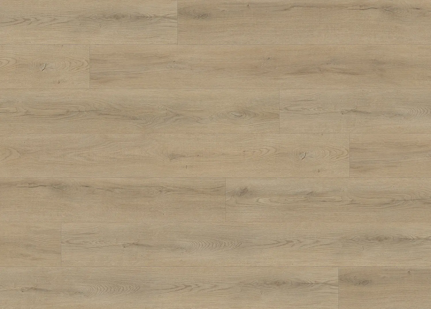 Alpine Oak