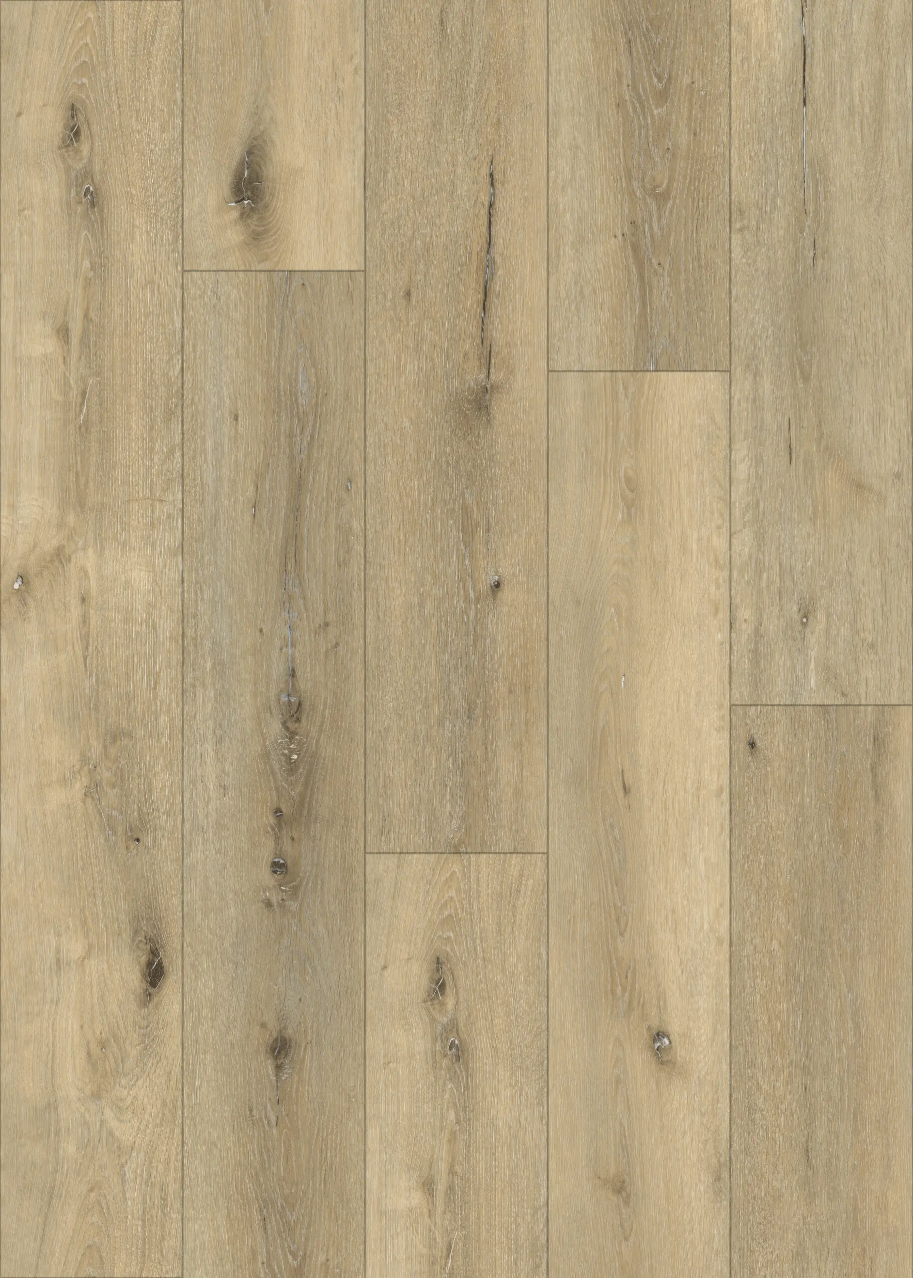 Smoulder Oak
