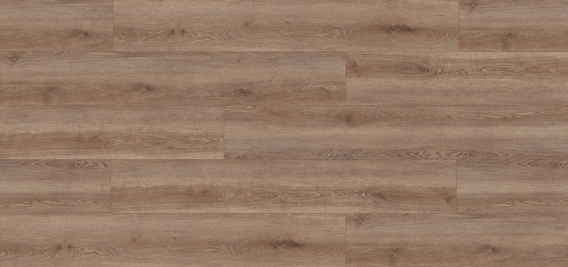 Ivory Ash