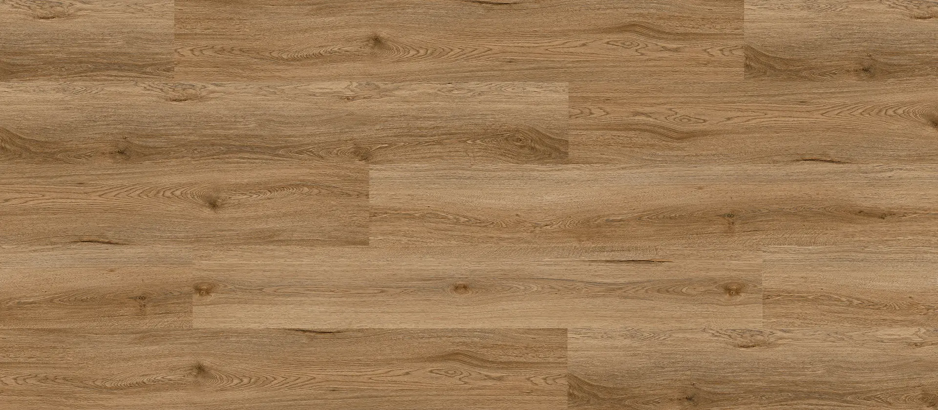 Coastal Spotted Gum