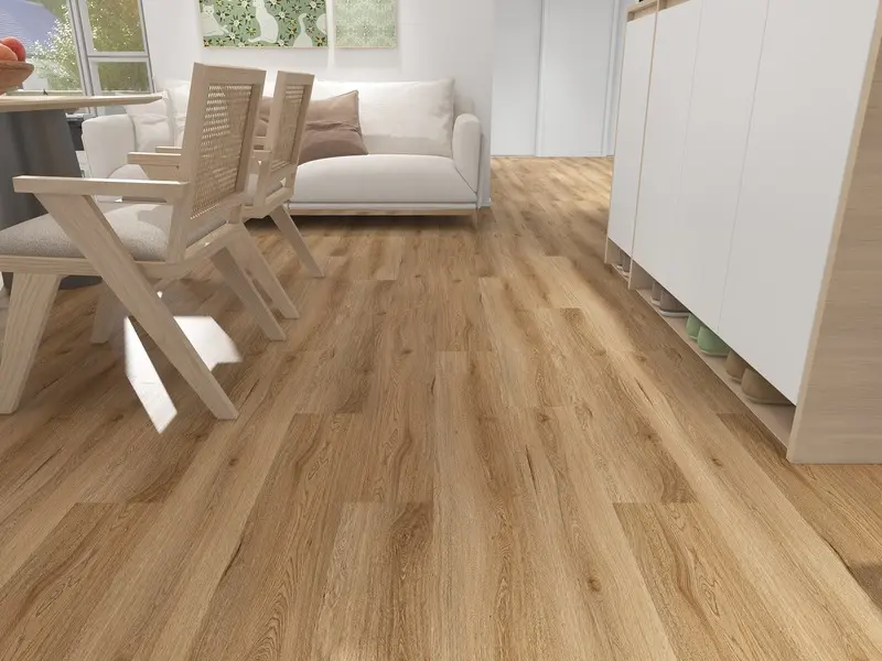 Coastal Spotted Gum thumbnail 2