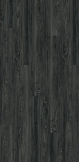 Midnight Oak
