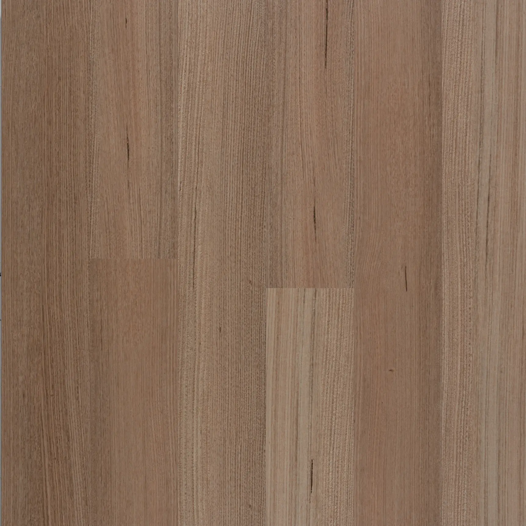 Tasmania Oak