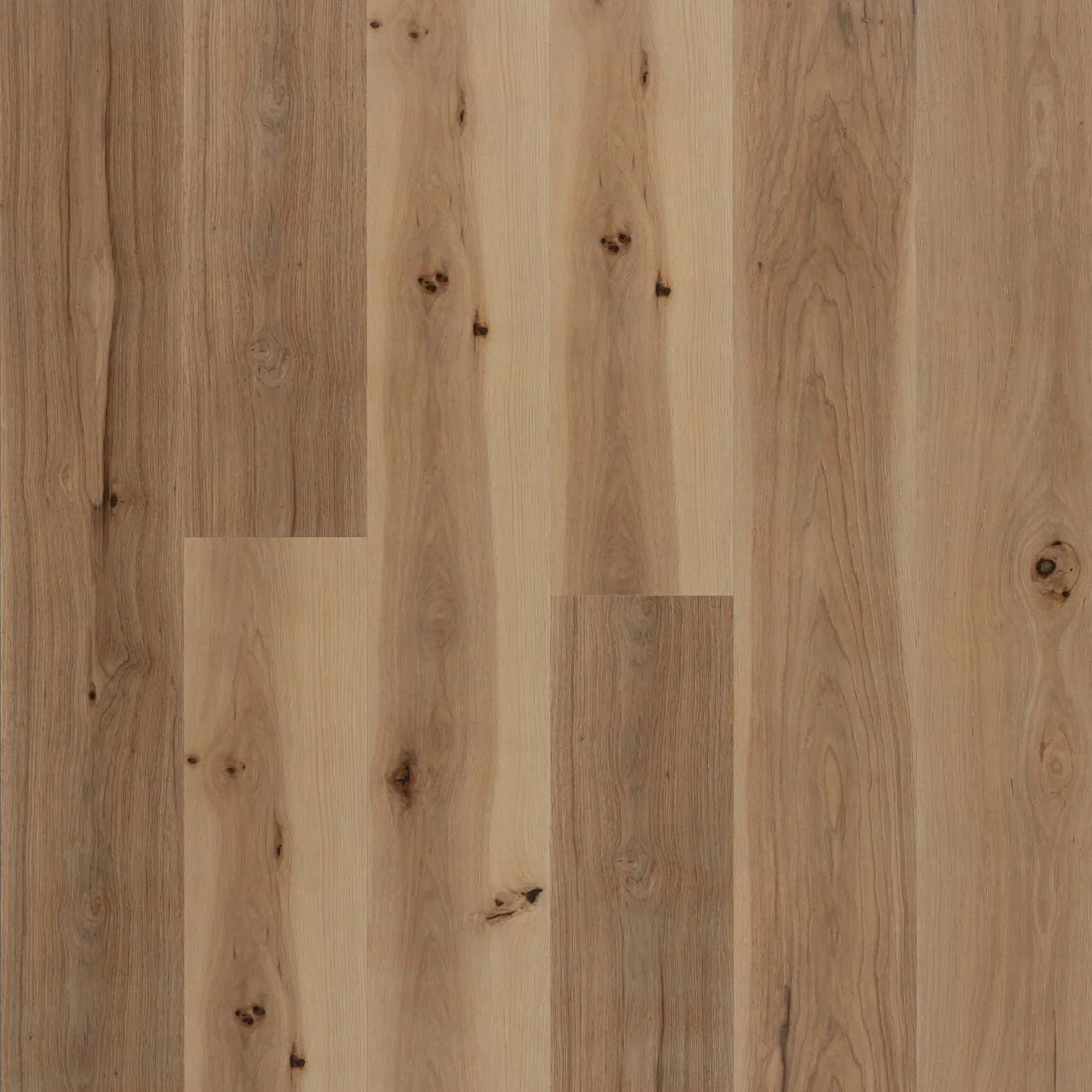 Hickory