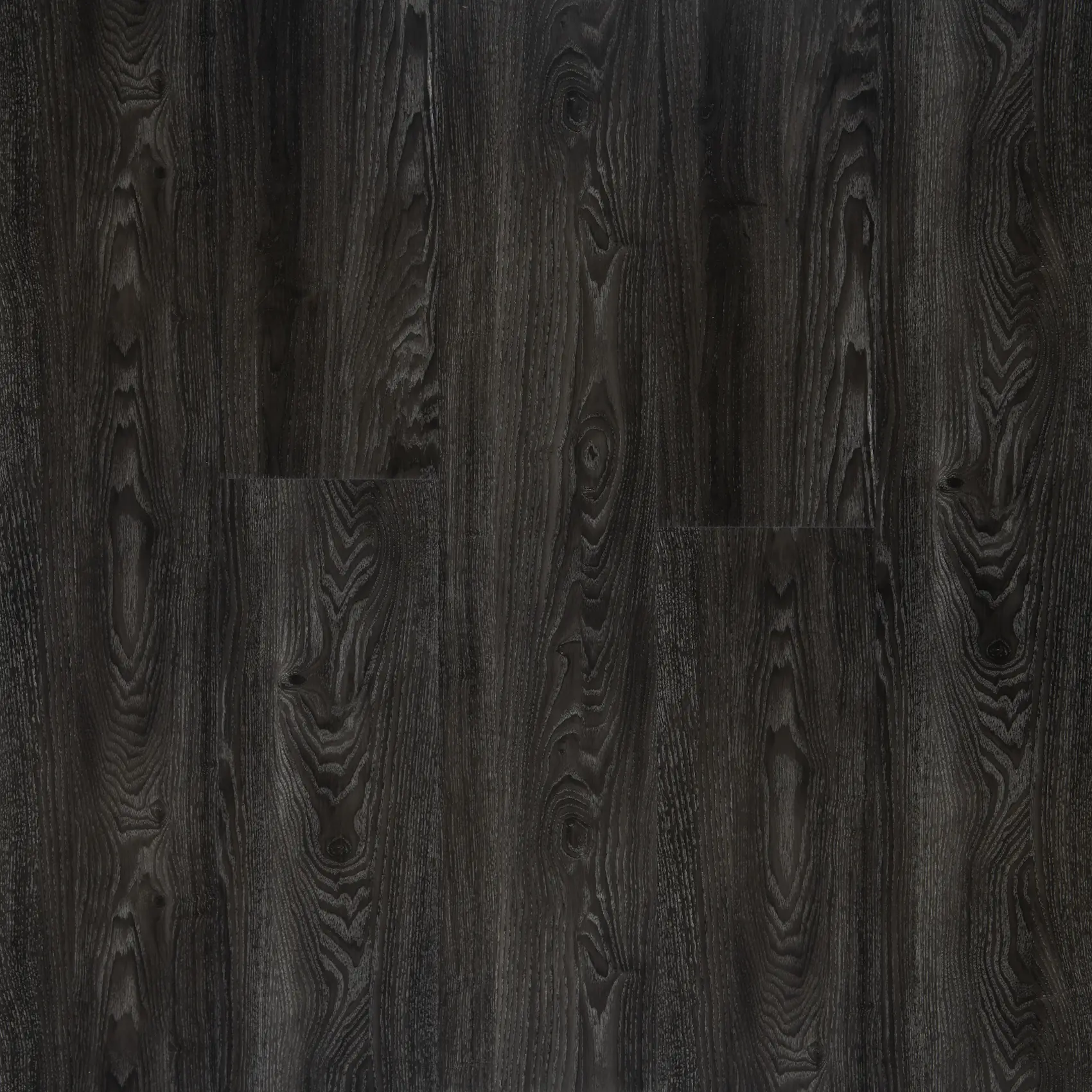 Midnight Oak