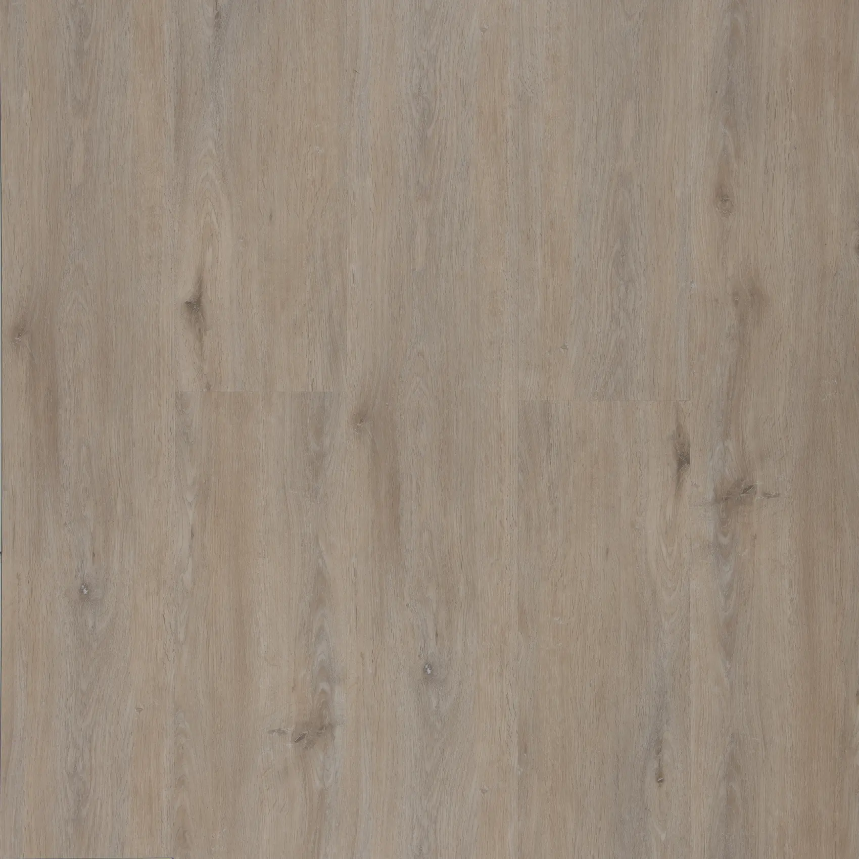 Coastal Limed Oak