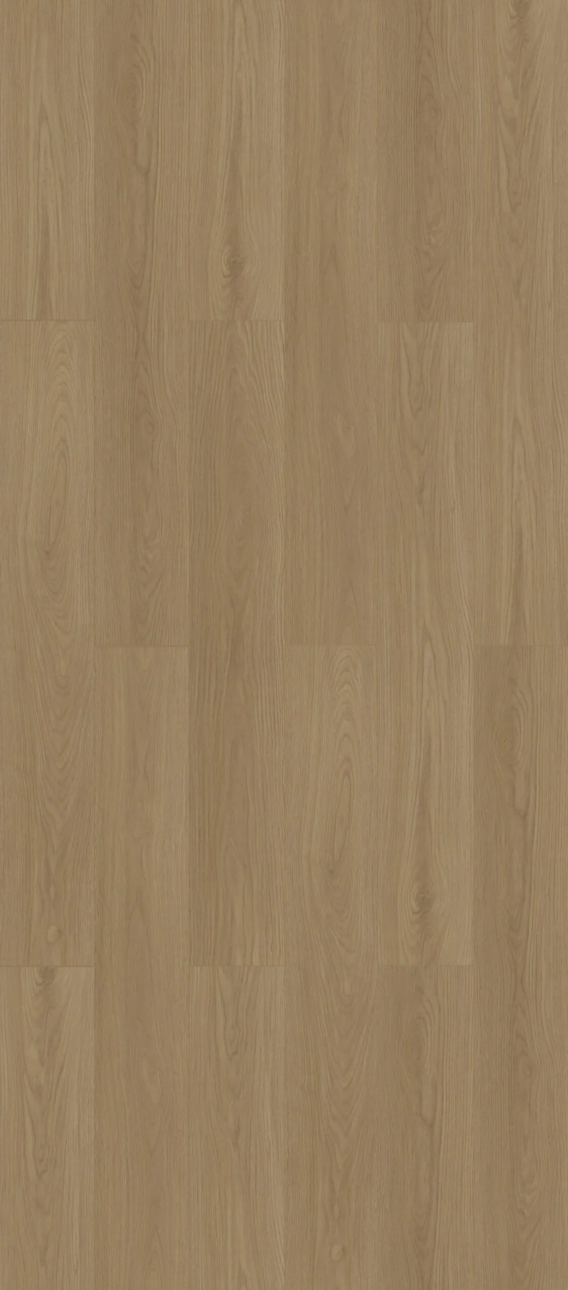 Limestone Oak