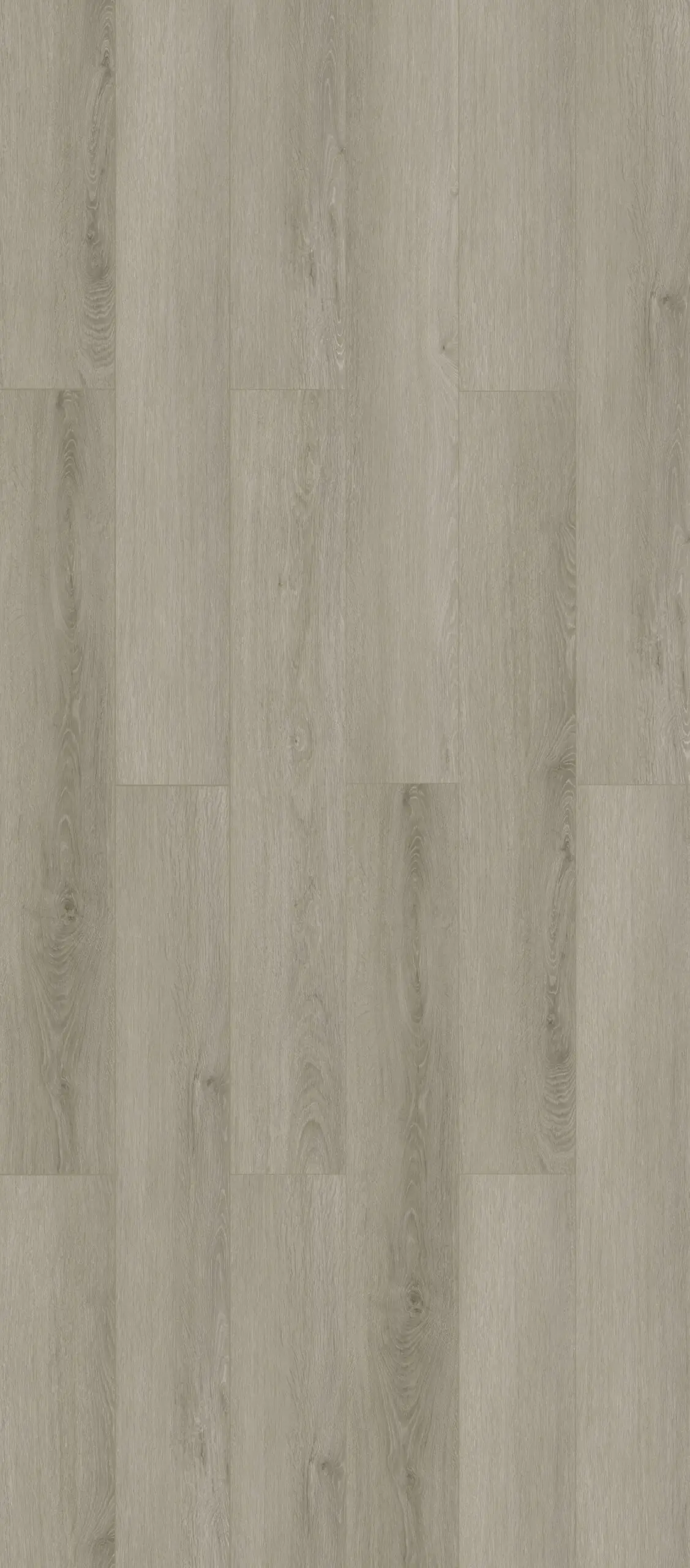 Salt Grey