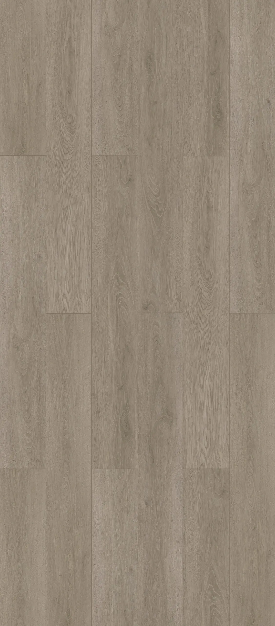 Fogwood