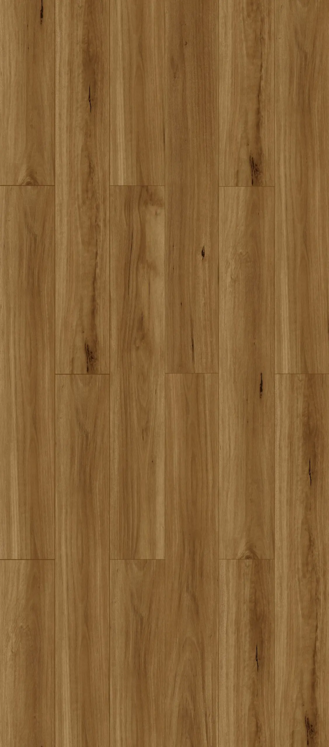 Outback Oak