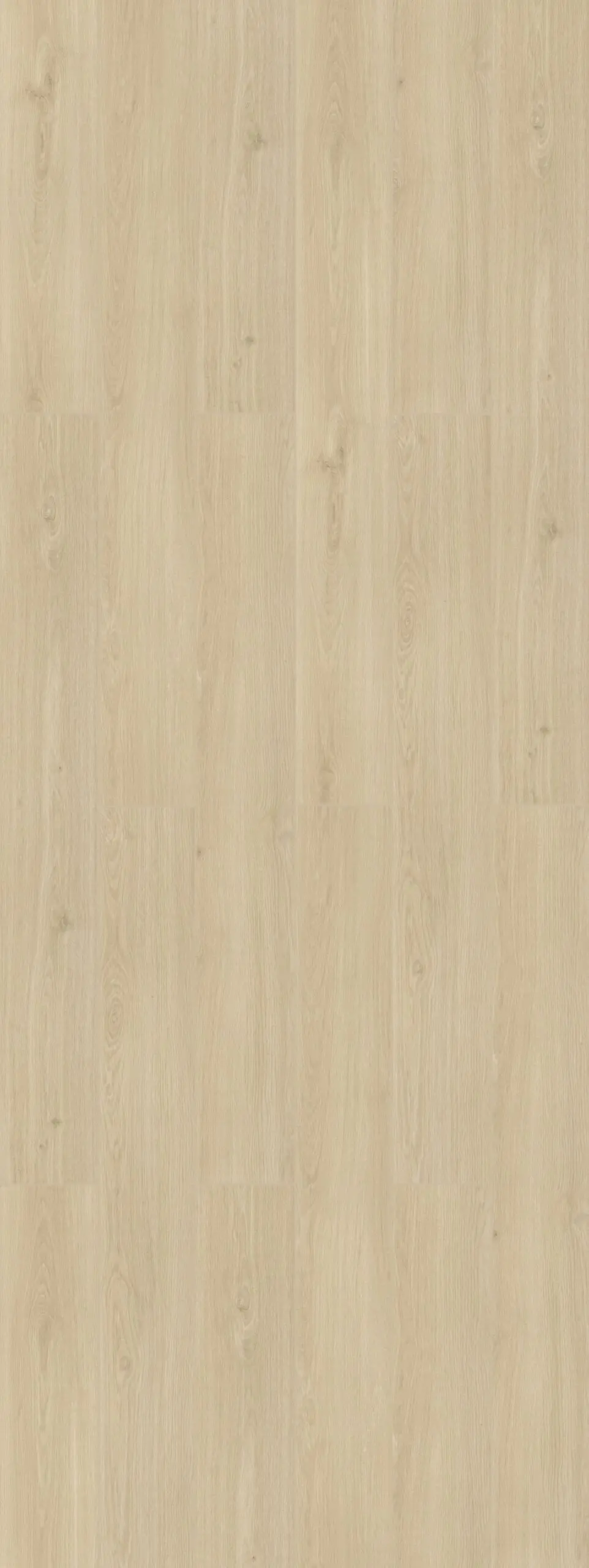 Frosted Oak
