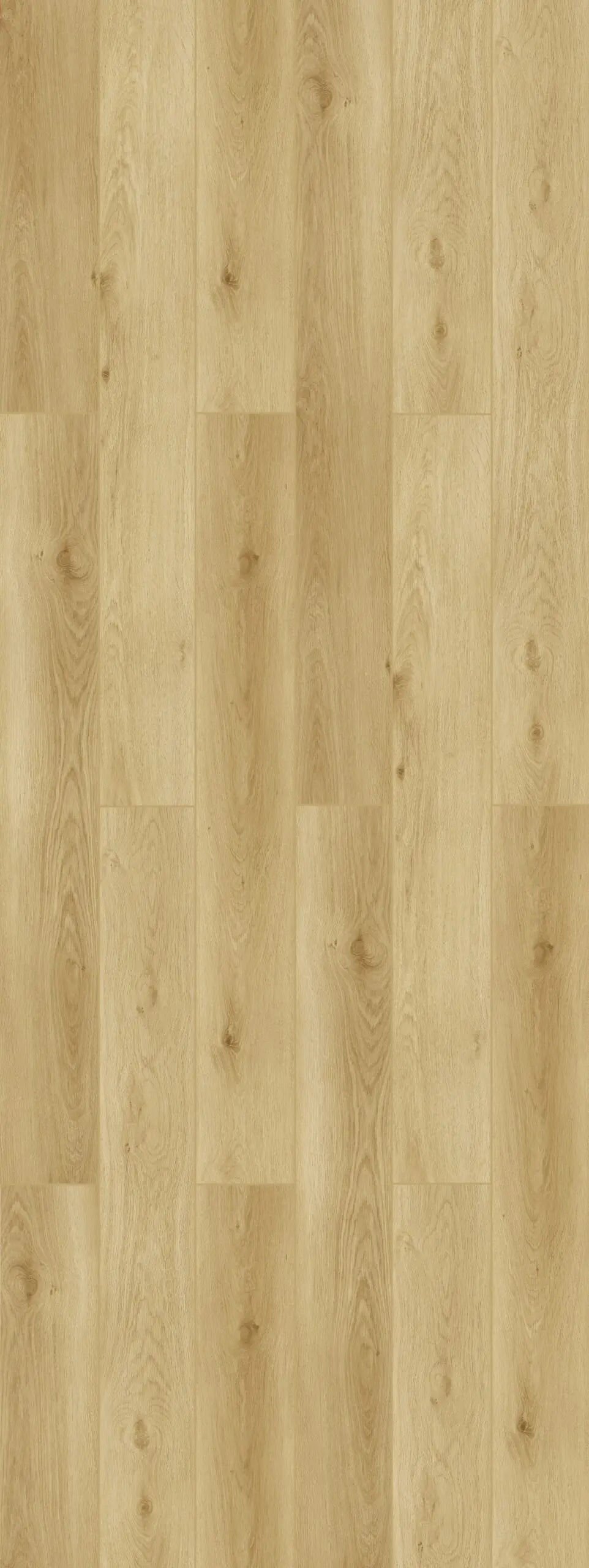 Dune Oak