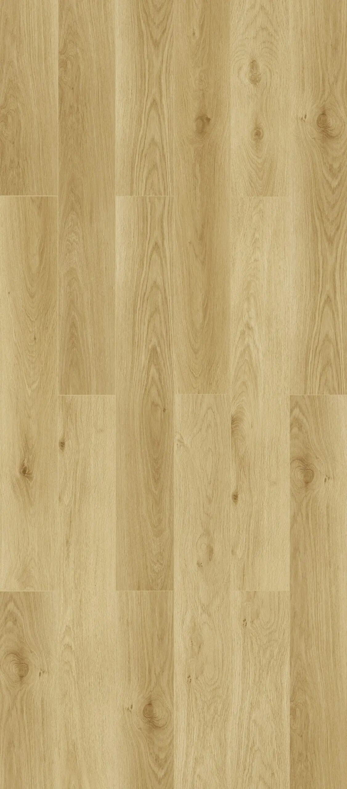 Dune Oak