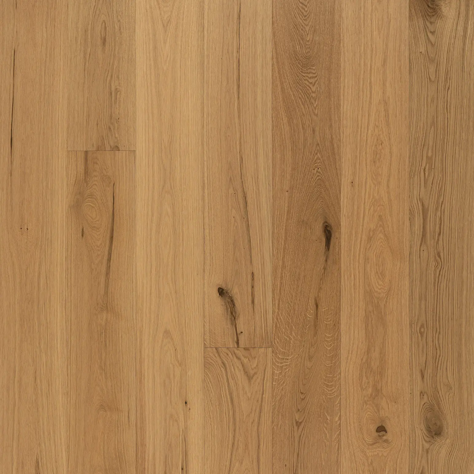 Tasman Oak