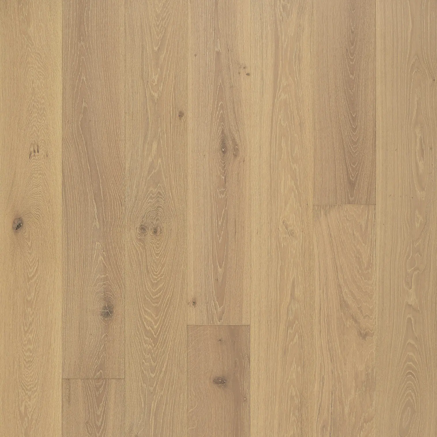 Limed Oak