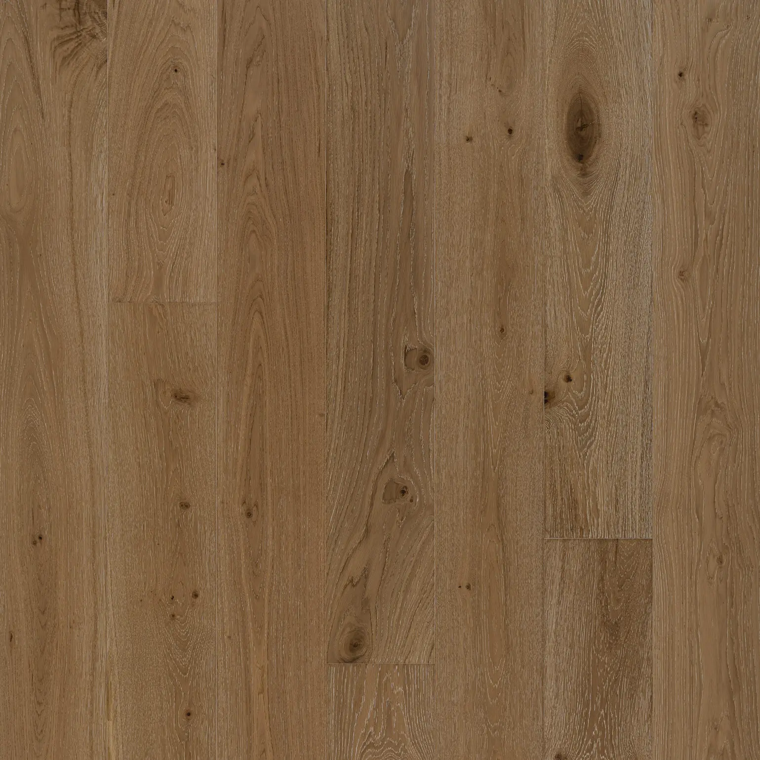 Smoulder Oak