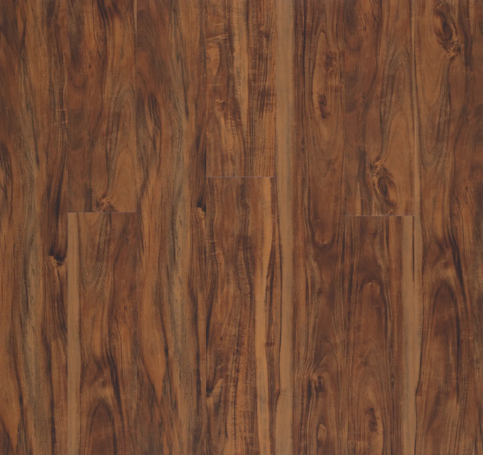 Sydney Blue Gum