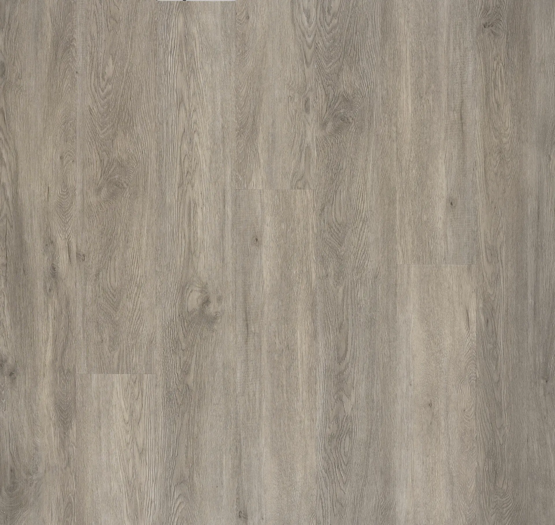 Ashen Oak