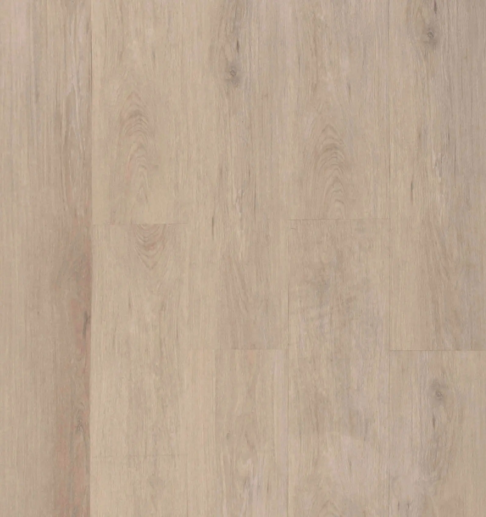 Urban Oak