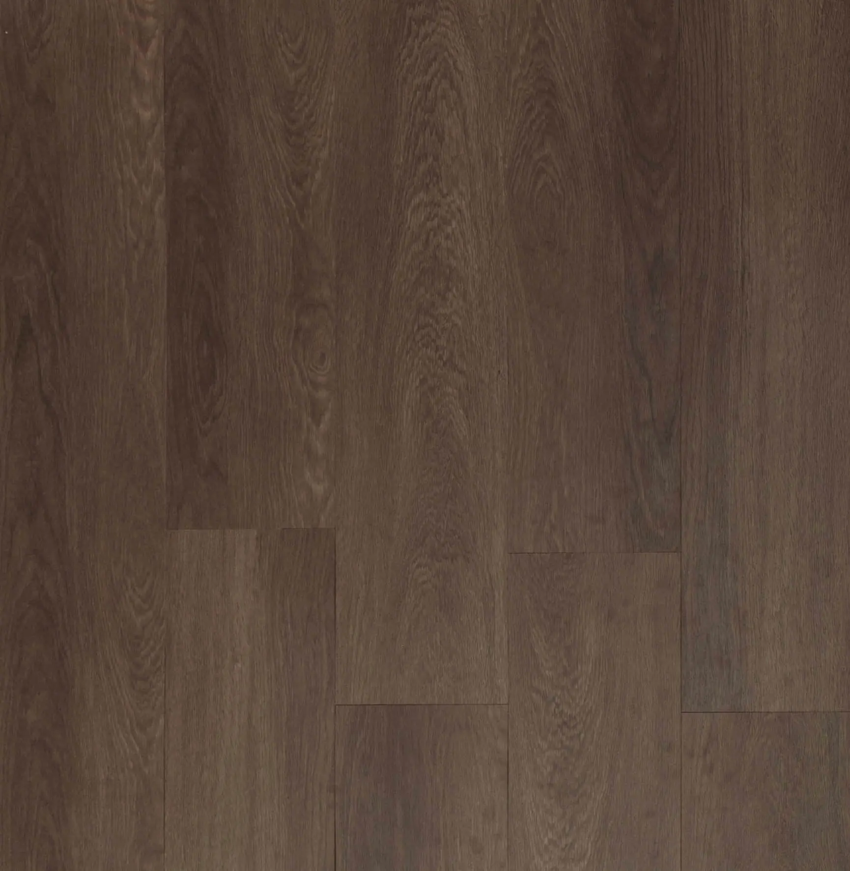 Saddle Oak