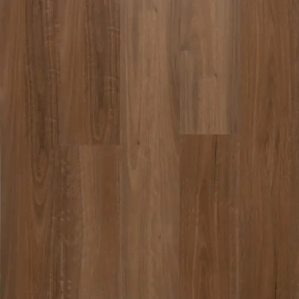 Spotted Gum