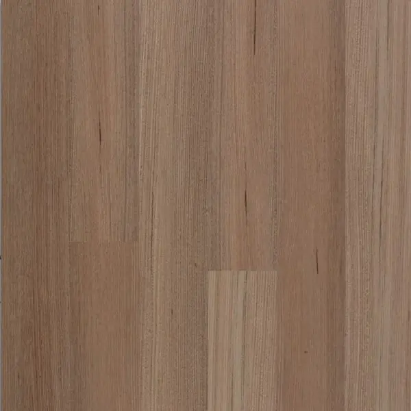 Tasmania Oak