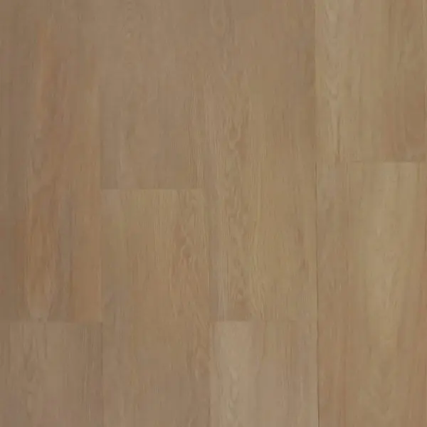 Coastal Spotted Gum