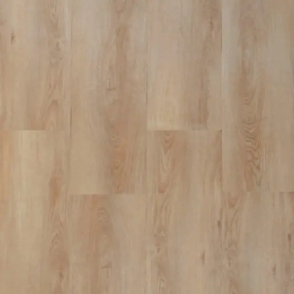 Chestnut Oak