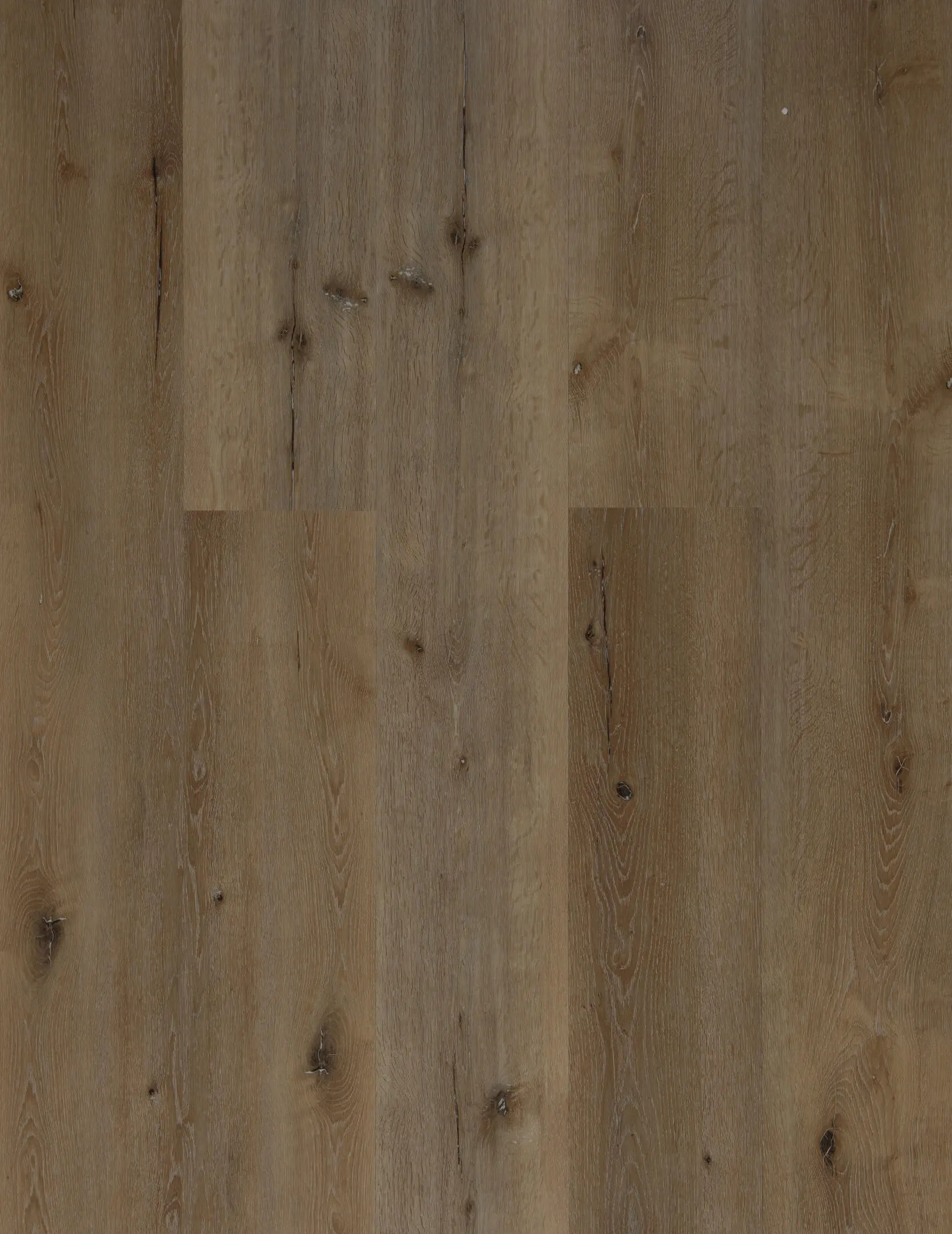 Smoulder Oak thumbnail 3