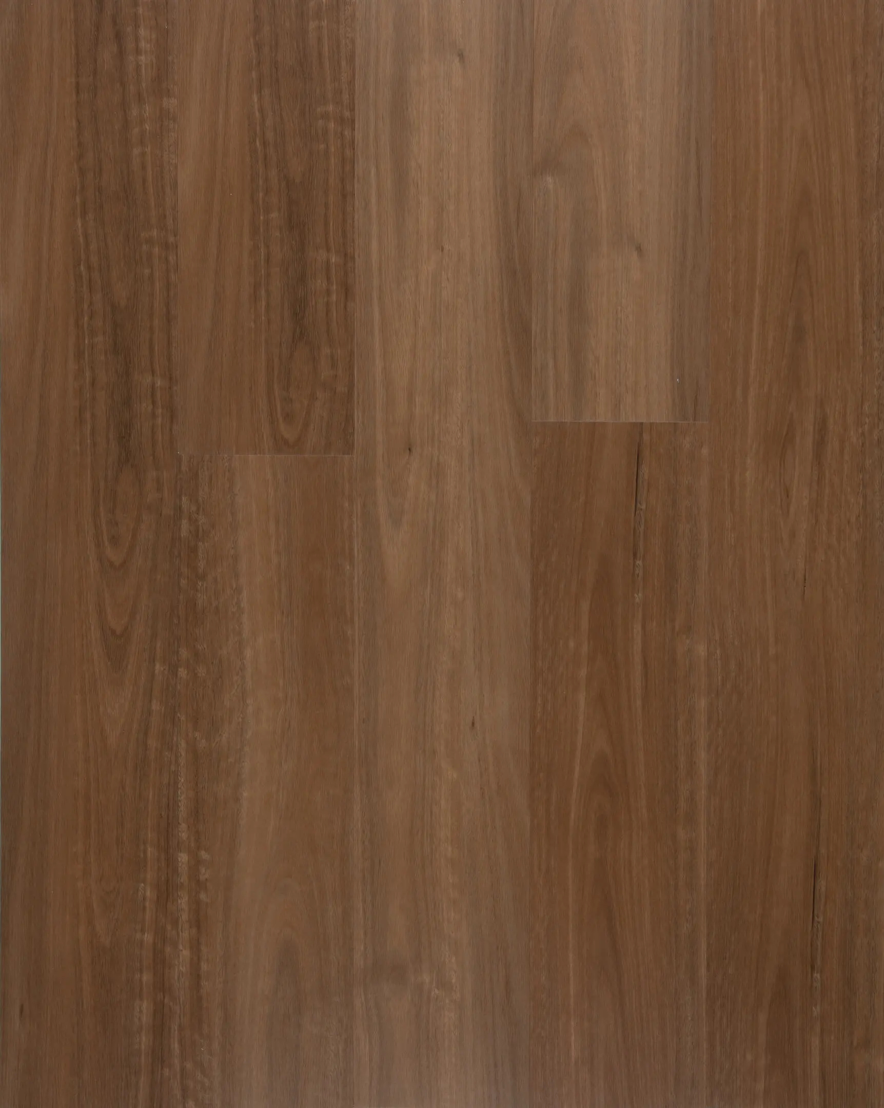 Spotted Gum thumbnail 3