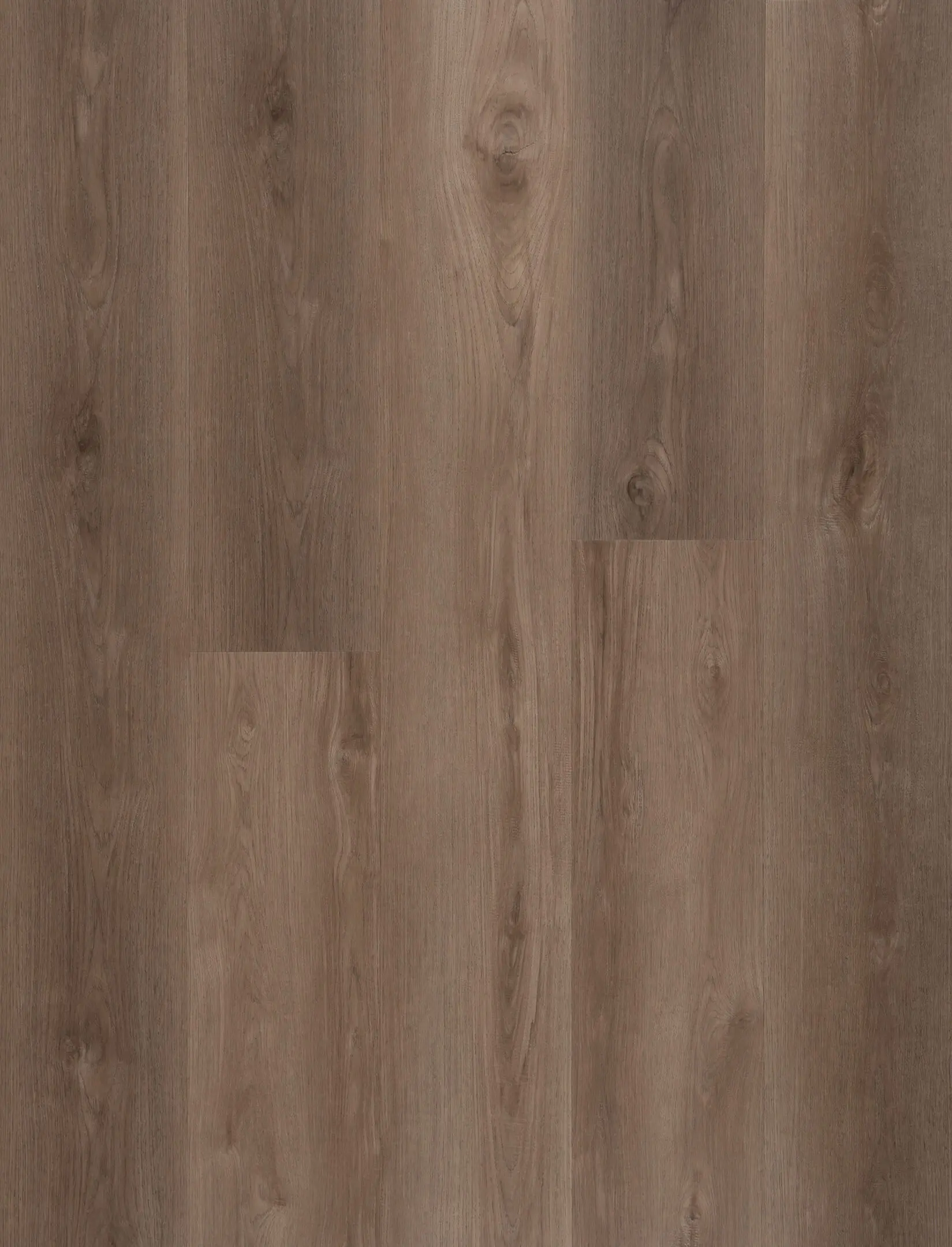Grand Oak thumbnail 3