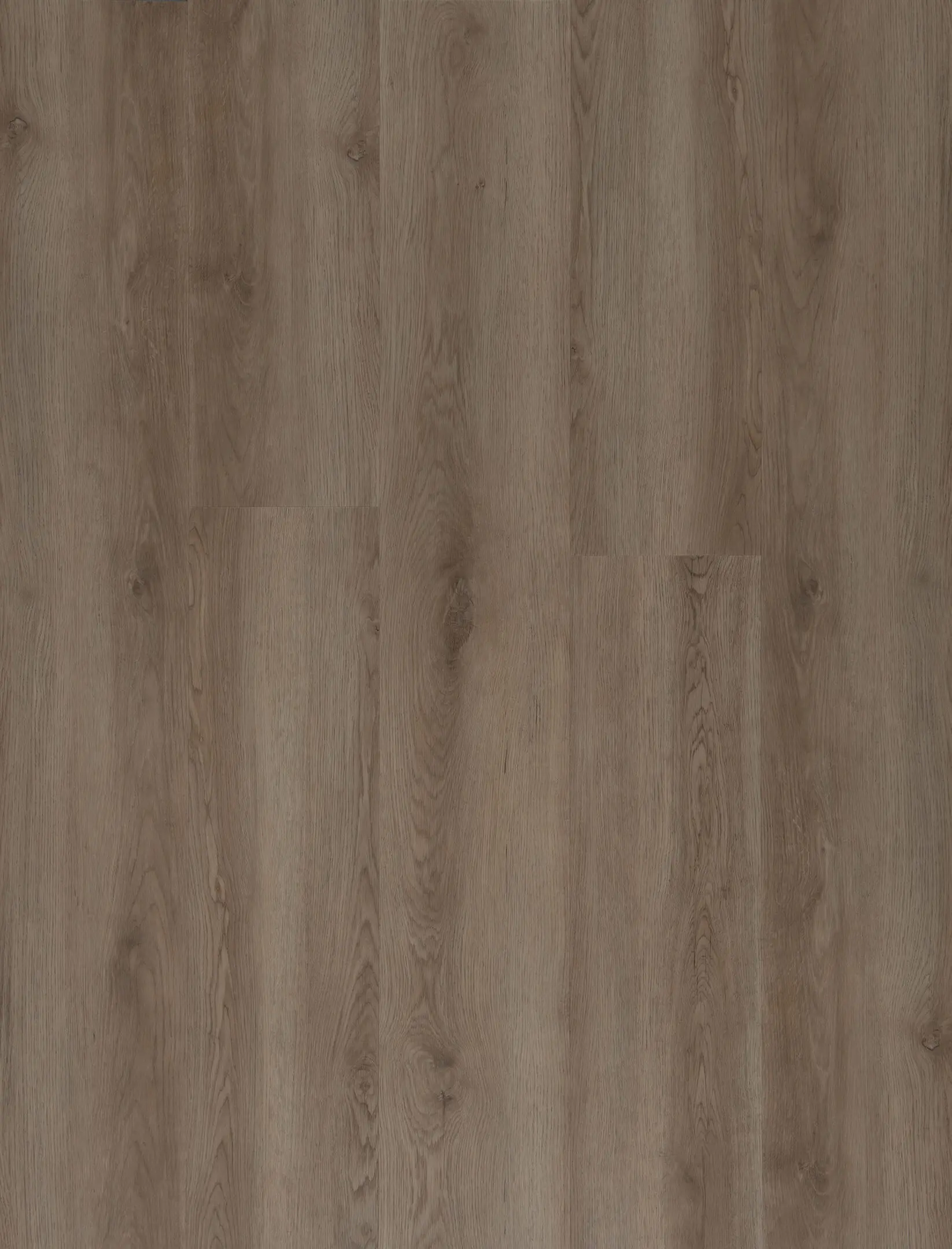 Ivory Ash thumbnail 3