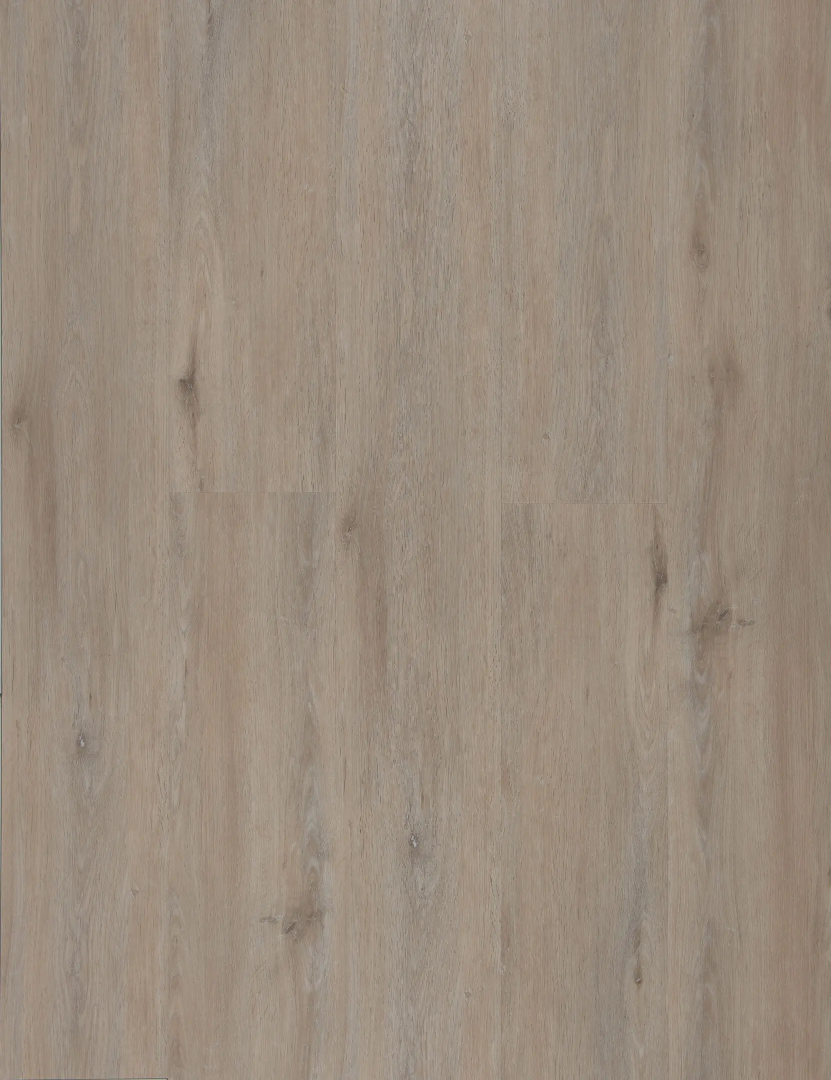 Coastal Limed Oak thumbnail 3