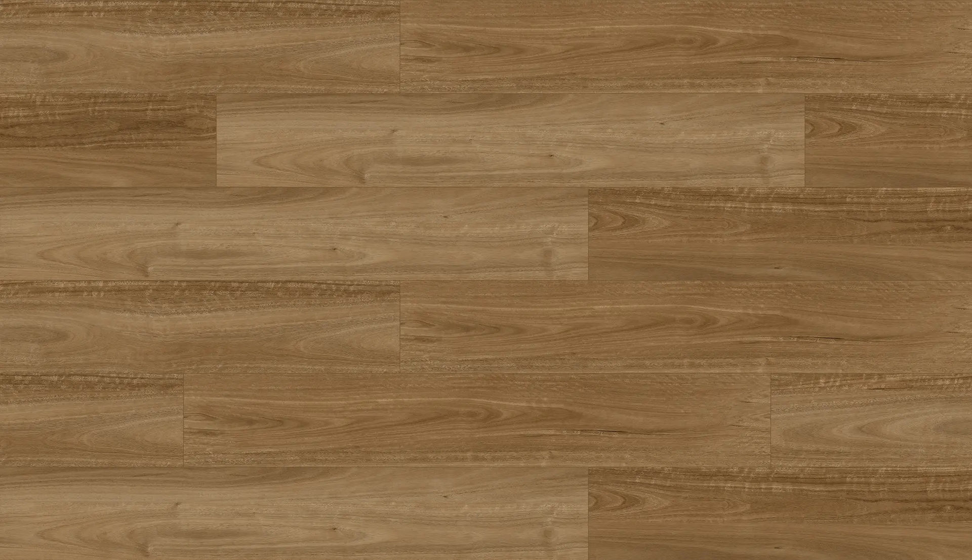 Spotted Gum