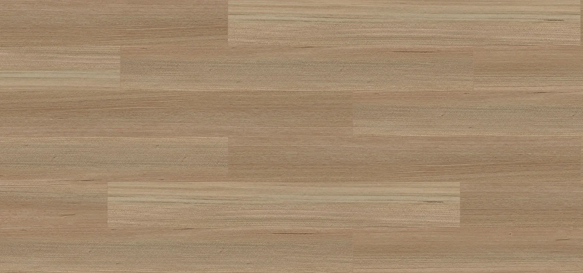 Tasmanian Oak