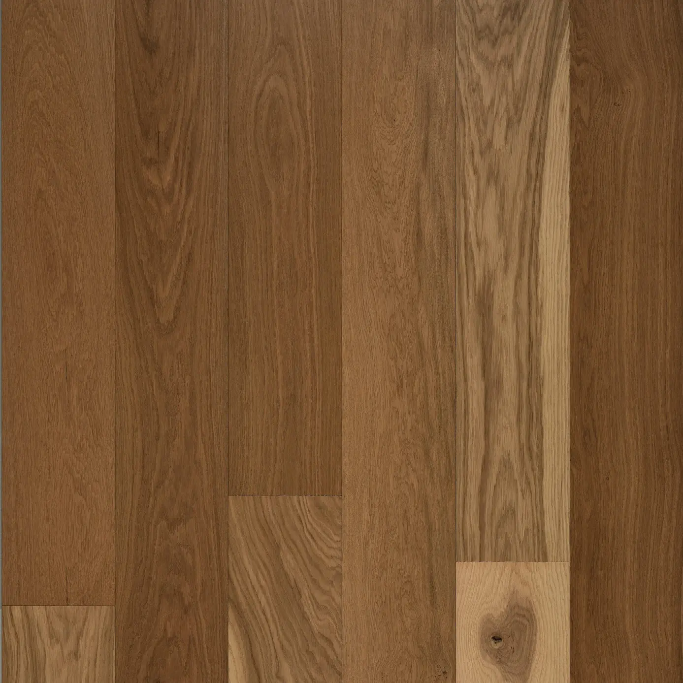 Tasman Oak