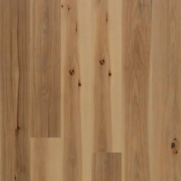 Hickory