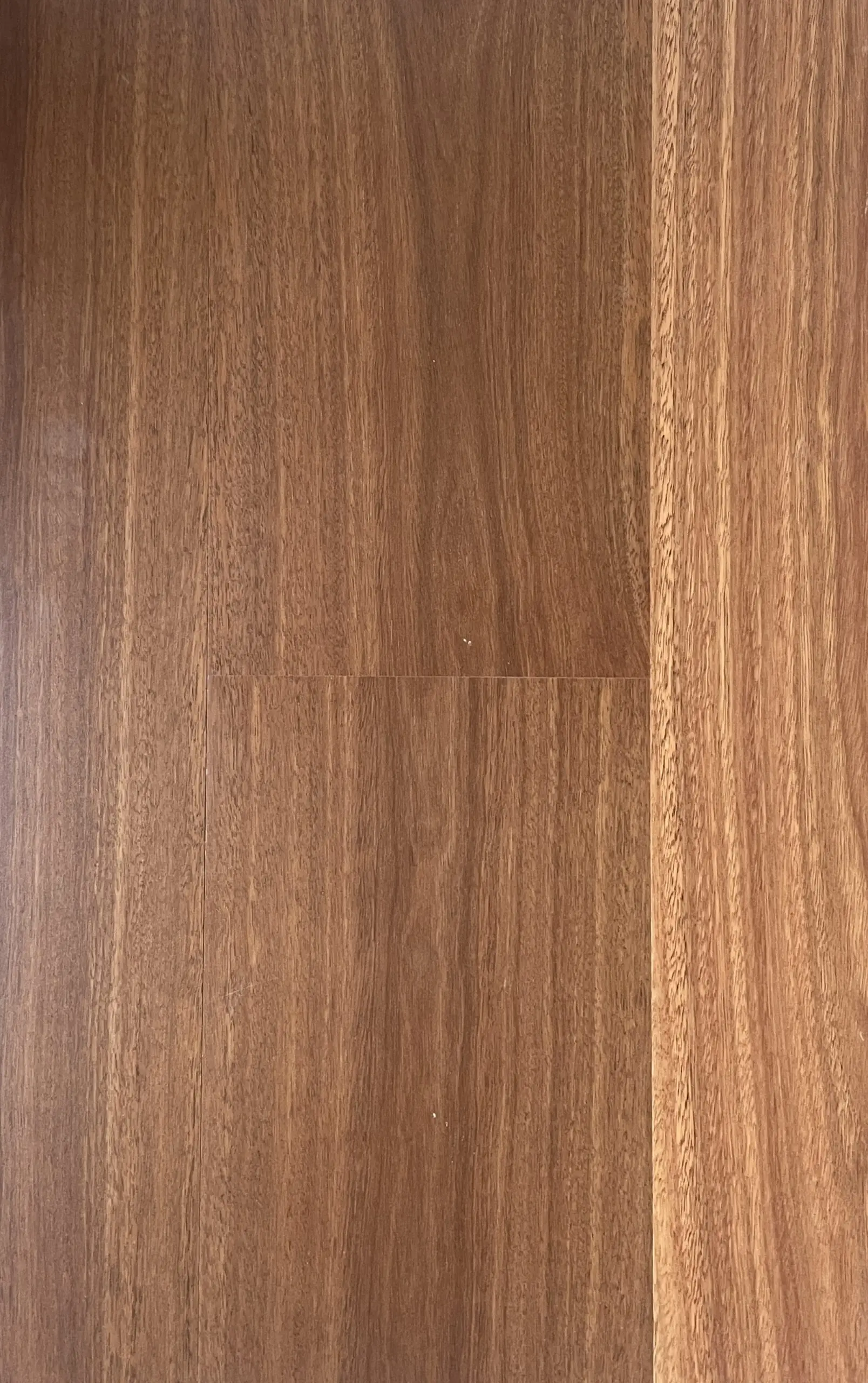 Spotted Gum