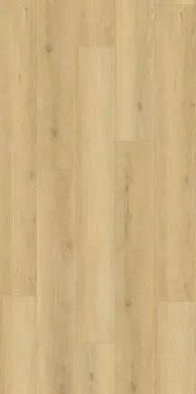 Cooloola Sand
