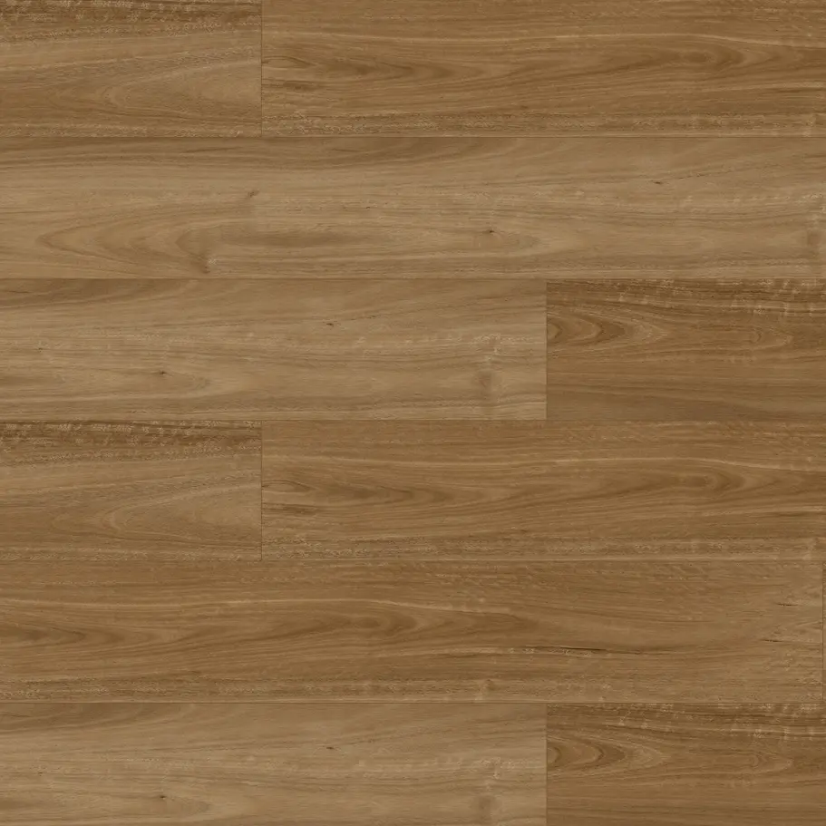 Spotted Gum