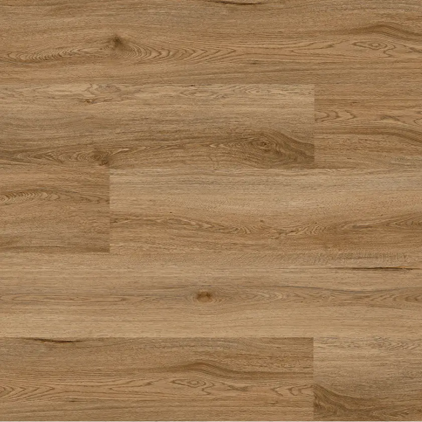 Coastal Spotted Gum